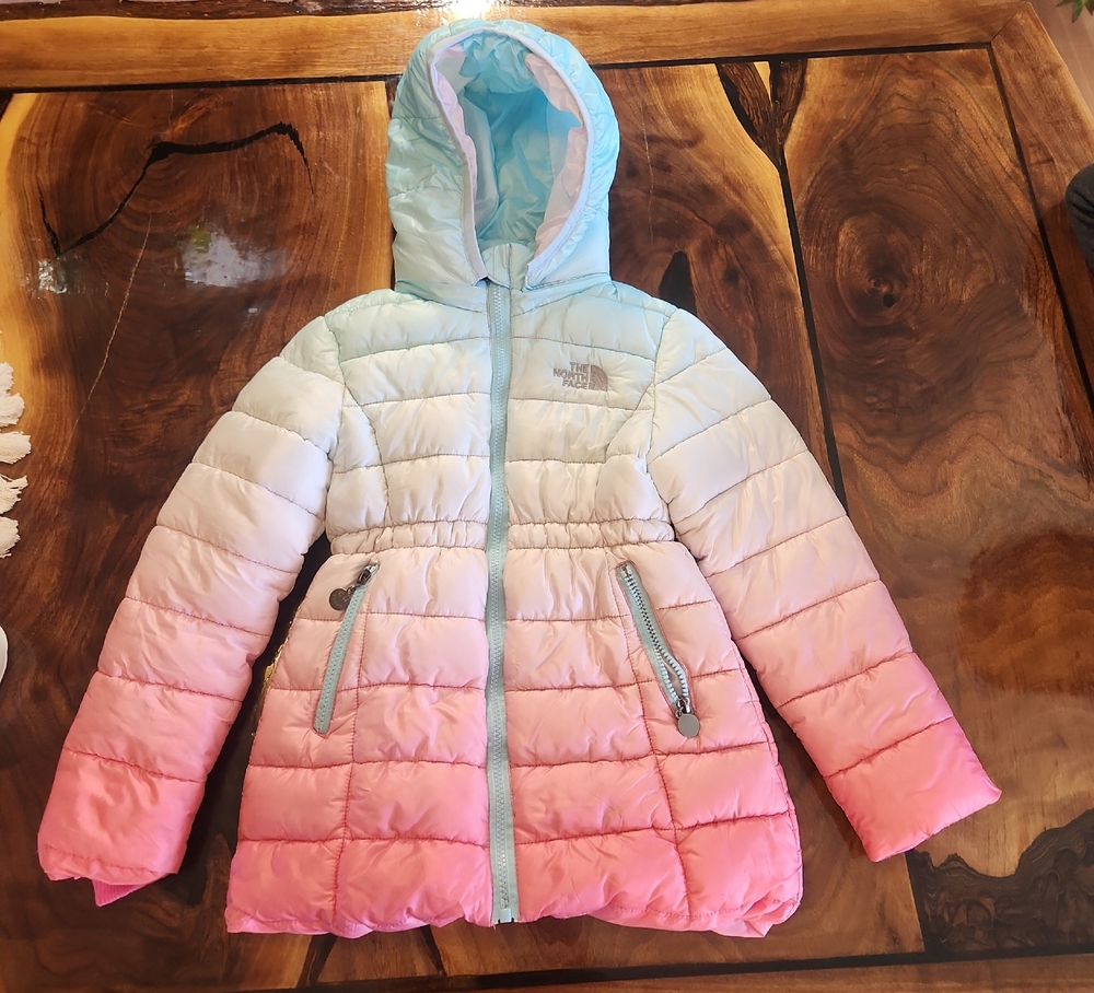 The North Face Pink and Blue Ombre Puffer Jacket